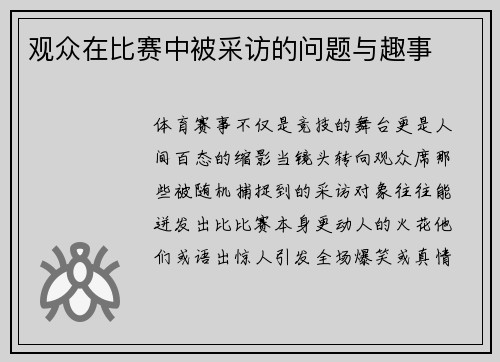 观众在比赛中被采访的问题与趣事