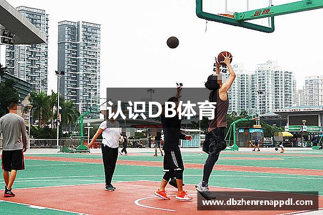 认识DB体育